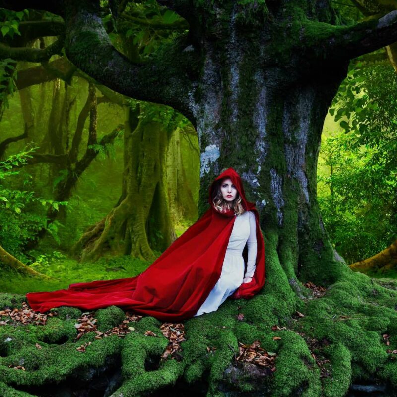 Into The Woods